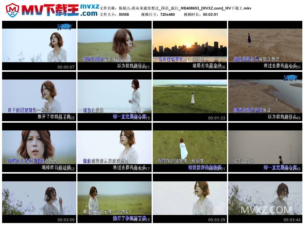 陈娟儿-你从来就没想过_国语_流行_MB408653